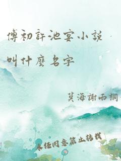 傅初许池宴小说叫什么名字