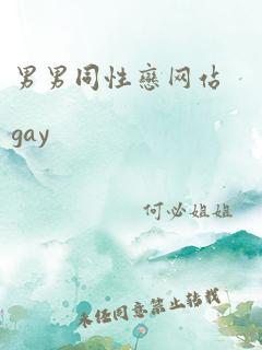 男男同性恋网站gay