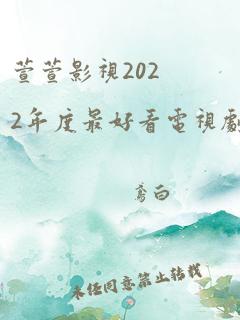 萱萱影视2022年度最好看电视剧