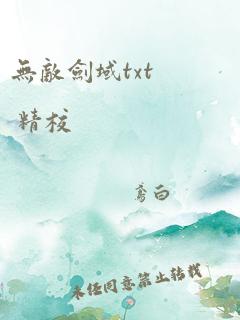 无敌剑域txt 精校