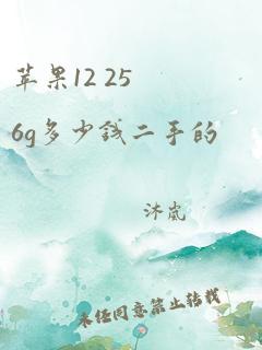 苹果12 256g多少钱二手的