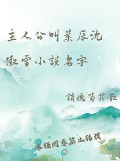 主人公叫叶辰沈傲雪小说名字