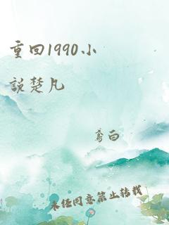 重回1990小说楚凡