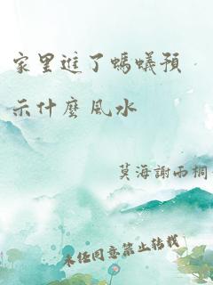 家里进了蚂蚁预示什么 风水