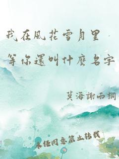 我在风花雪月里等你还叫什么名字