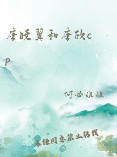 唐晓翼和唐欣cp