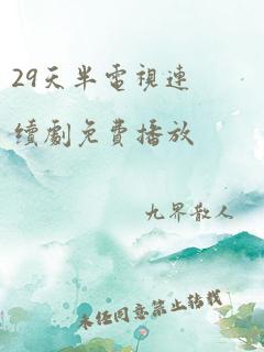 29天半电视连续剧免费播放