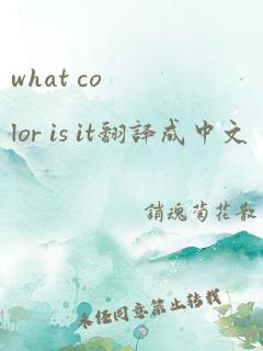 what color is it翻译成中文