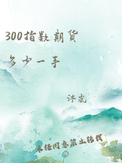 300指数期货多少一手