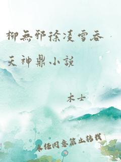 柳无邪徐凌雪吞天神鼎小说