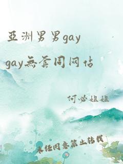 亚洲男男gaygay无套同网站