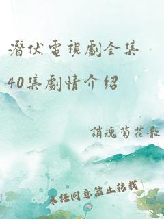 潜伏电视剧全集40集剧情介绍