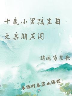 十岁小男孩生日文案朋友圈