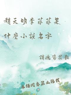 赵天明李菲菲是什么小说名字