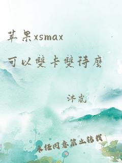 苹果xsmax可以双卡双待么