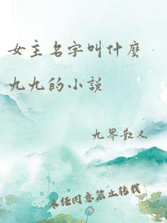 女主名字叫什么九九的小说