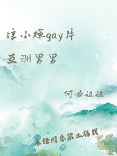 浪小辉gay片亚洲男男