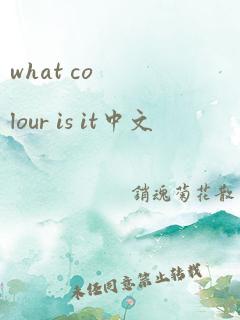 what colour is it中文