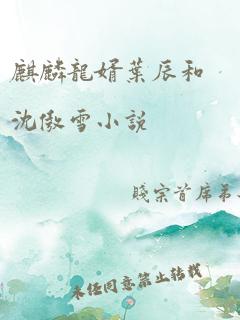 麒麟龙婿叶辰和沈傲雪小说