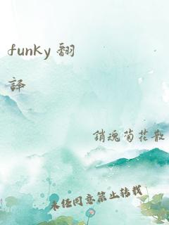 funky 翻译