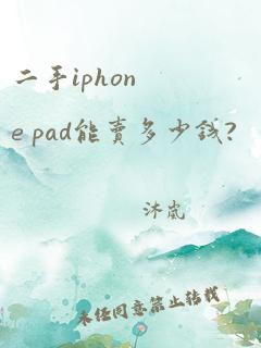 二手iphone pad能卖多少钱?