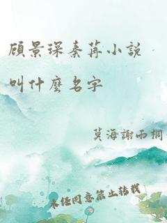 顾景琛秦苒小说叫什么名字