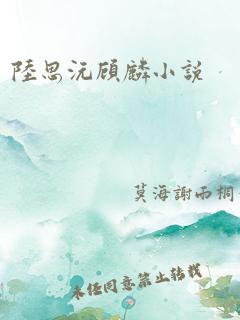 陆思沅顾麟小说