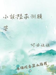 小说:陆承洲顾芒