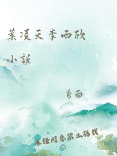 叶凌天李雨欣 小说