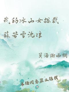 我的冰山女总裁苏若雪沈浪