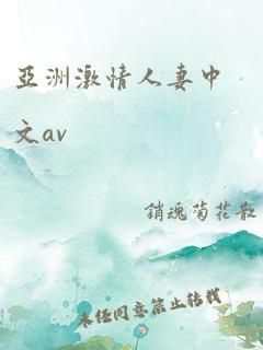 亚洲激情人妻中文av