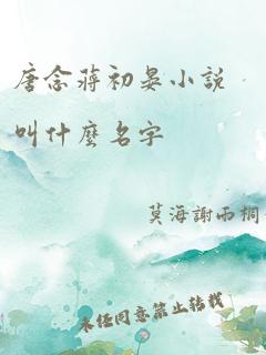 唐念蒋初晏小说叫什么名字