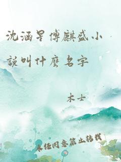 沈涵星傅麒盛小说叫什么名字