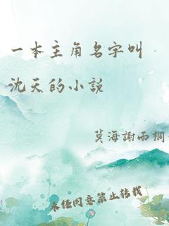 一本主角名字叫沈天的小说