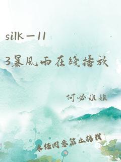 silk—113暴风雨在线播放