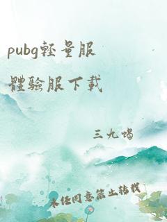 pubg轻量服体验服下载