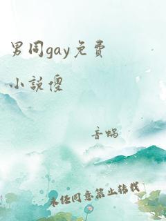 男同gay免费小说傻