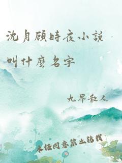 沈月顾时夜小说叫什么名字