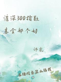 沪深300指数基金哪个好