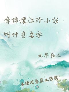 傅锦怀江玲小说叫什么名字