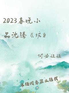 2023春晚小品沈腾《坑》