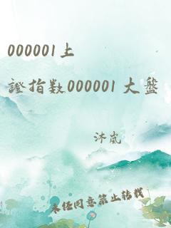 000001上证指数000001 大盘