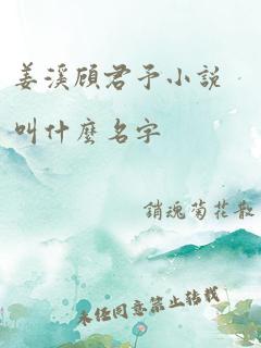 姜溪顾君予小说叫什么名字