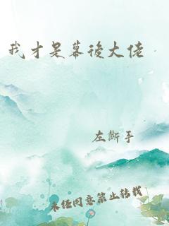 我才是幕后大佬