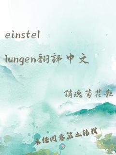 einstellungen翻译中文