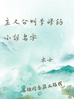 主人公叫李峰的小说名字