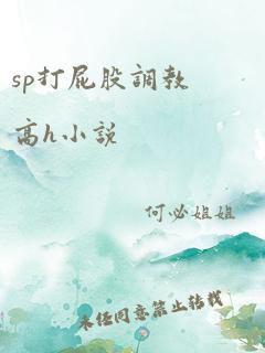 sp打屁股调教高h小说