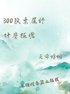 300股票属于什么板块