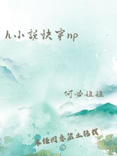 h小说快穿np