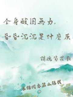 全身酸困无力,昏昏沉沉是什么原因